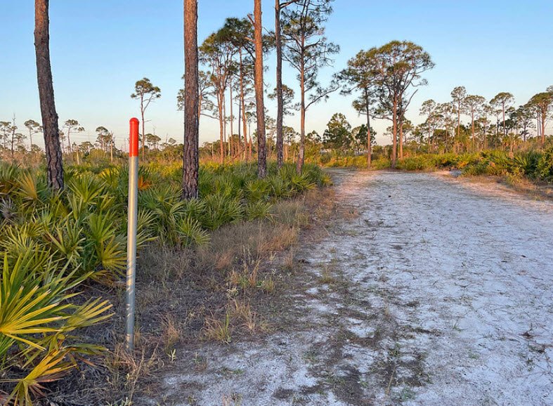Estero Bay Preserve State Park, Florida, USA